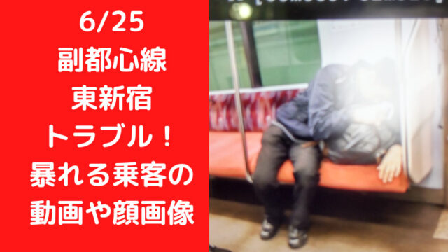 6/25副都心線東新宿でトラブル！暴れる乗客の動画や顔画像は？｜Ｔｒｅｎｄｗａｔｃｈ